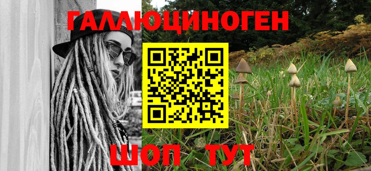 Ефремов  Галлюциногенные грибы Cubensis  Вход с VPN 